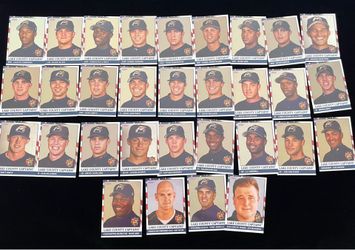 2003 Lake County Captains Team Set (31): Minor League Baseball Cards