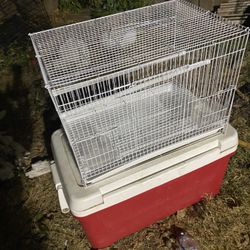 Bird Cage