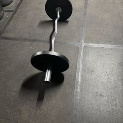 Olympic curl bar