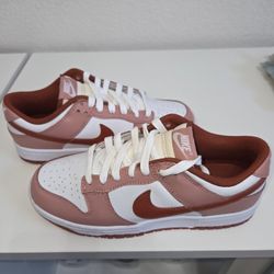 Nike Dunks (Women's)