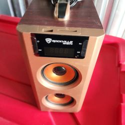 Bluetooth Radio Speaker 