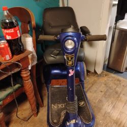 Companion 2 Scooter