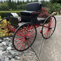 Drs . Horse Buggy 