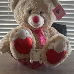 Plush Bear 16 Inches Tall  With Earrings 