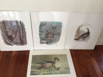 Set of four Limited Edition Ned Smith prints - All 973/4975 Excellent Condition