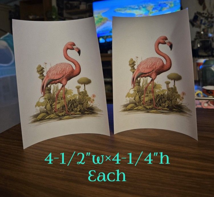 Flamingo Transfer/Sticker