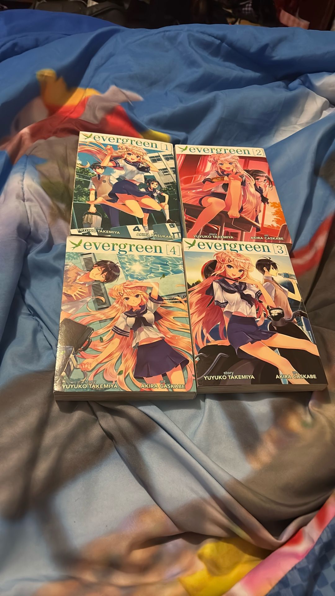 Evergreen Manga Vol 1-4
