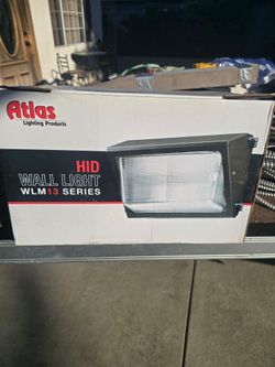 Security light