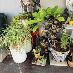 Everything is for sale !!! Open now !!!!