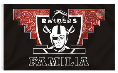 ‼️Free Raiders mini Bag‼️ with each purchase of a Brand New Raiders 3X5 Flag $20 each