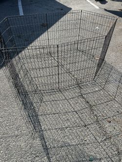 Dog Cage 