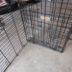 Animal Cage