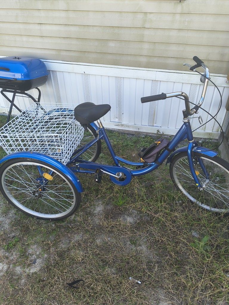 Adult Trike $100