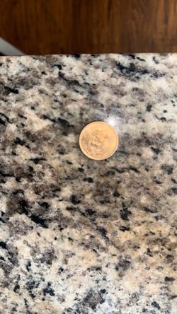 1$ coin