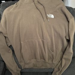 The North Face Men's Evolution Hoodie Smokey Brown