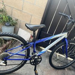 Trek 800 Sport Mountain Bike, 26” Tire Size