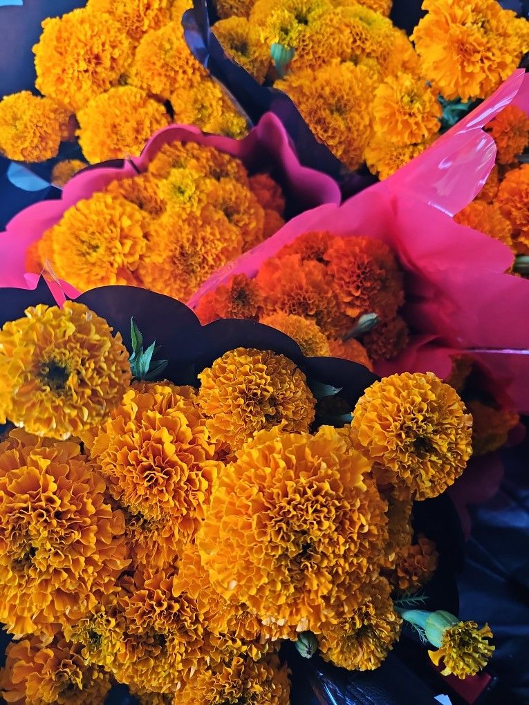 Marigold Dia De Muertos Cempasuchil