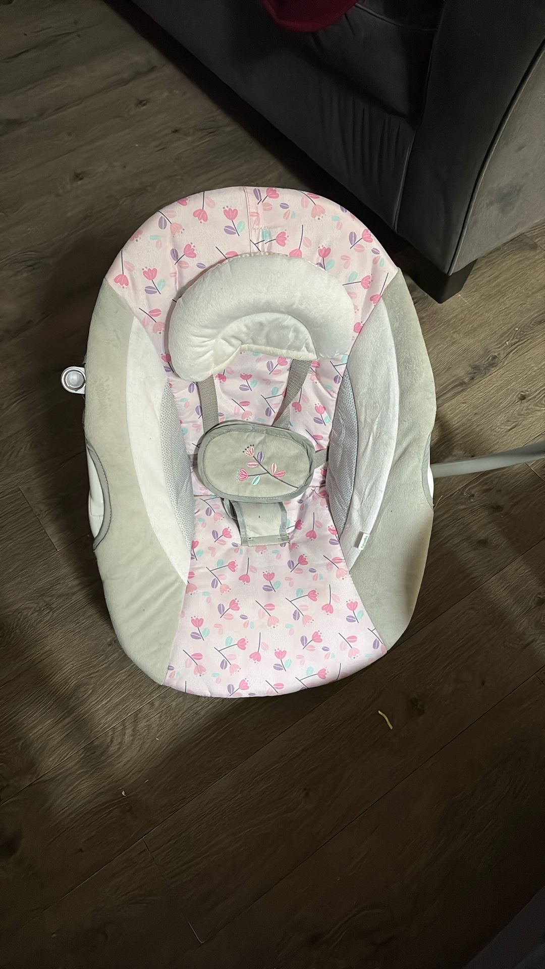 Ingenuity Baby Swing