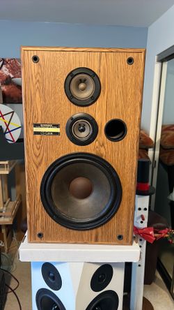 Vintage Pioneer Speakers