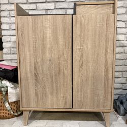 Latitude Run 2-Door Storage Cabinet For Shoes, Books, Etc.