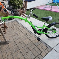 WeeRide Co-Pilot Bike Trailer  Lightweight Aluminum Frame