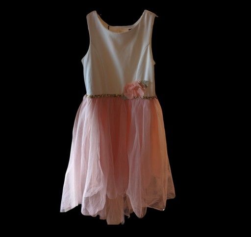 Size 10 Flower Girl Dress NWT