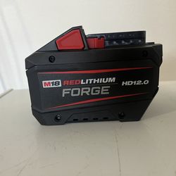 12.0 forge battery