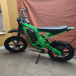 2025 Ice Bear E-Bike – New Condition, 48-Mile Range - Palm Bay, FL