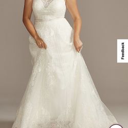 David’s bridal Wedding Dress size 16 W