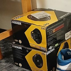 Two 10 Inch Speakers