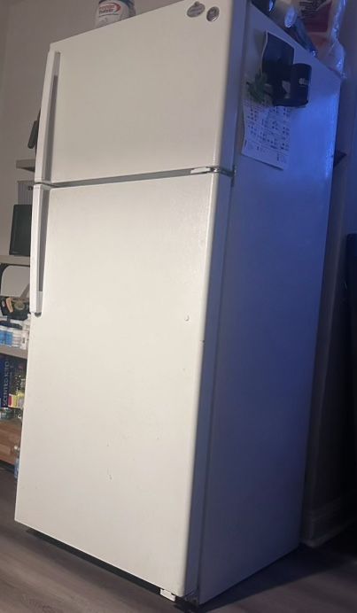 White Fridge 