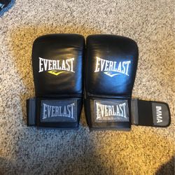 Everlast Muay Thai Boxing Gloves