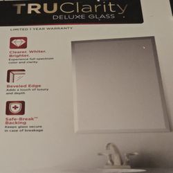 Delta Bathroom Vanity Mirror