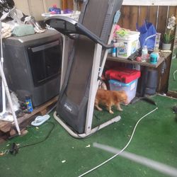 Treadmill $20