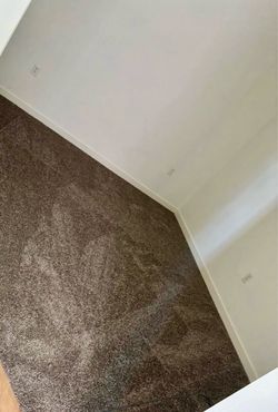 Light Brown Carpet Brand New | Size 12ft x 11ft 10in