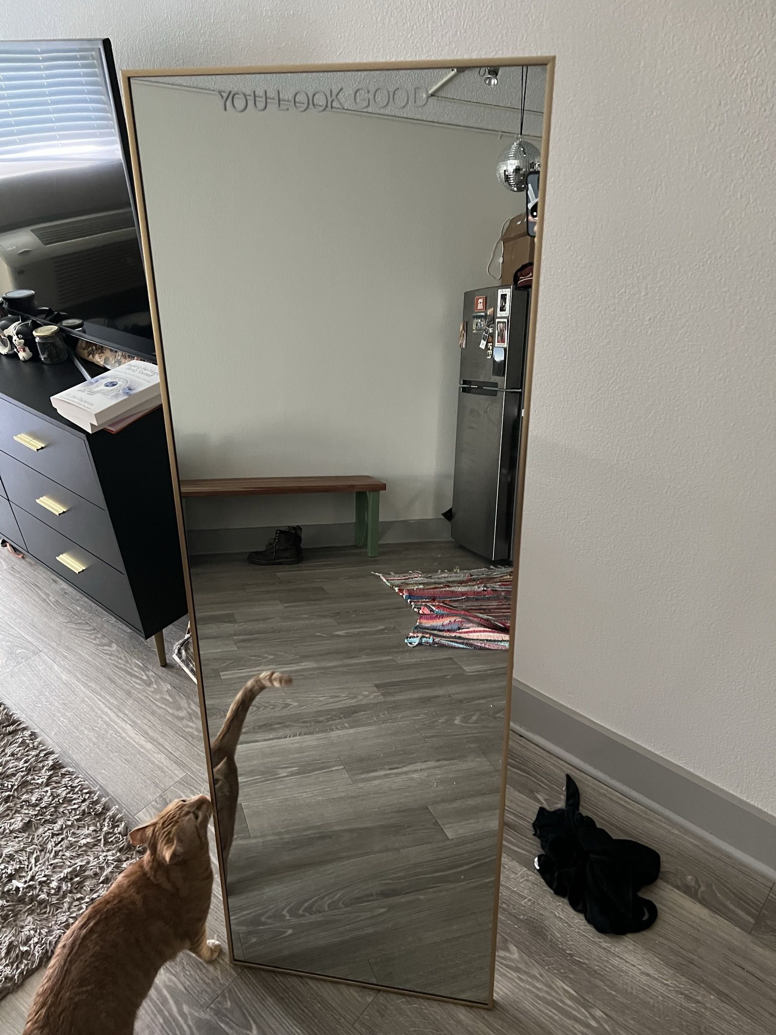 MOVING 4/3 NEED GONE. floor length mirror! “you look good” 