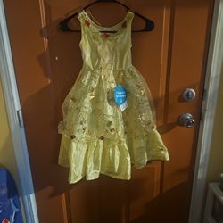 Belle Themed Dress