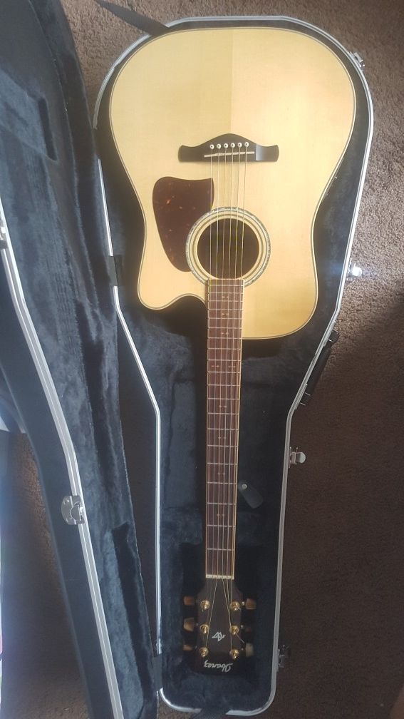 Ibanez Guitar