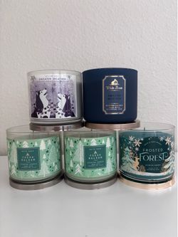 Large Bath & Body Works Candles- Fresh, Outdoor Scents