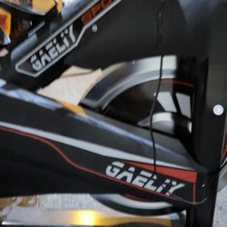 Gaeliy Exercise Bike
