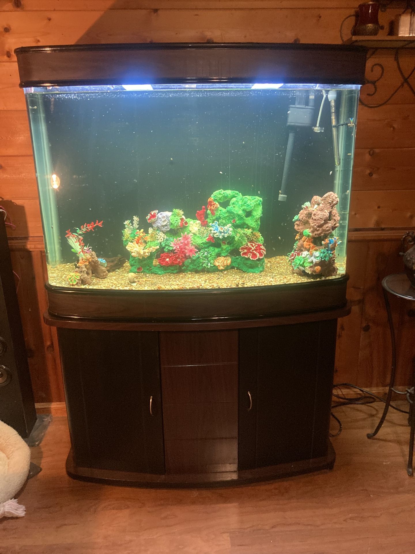 80 Gallon Glass Fish Tank With Curved Corners