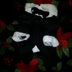 2 Tuxedo Costume For Small Dog Or Puppy 