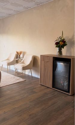 Mini fridge cabinet