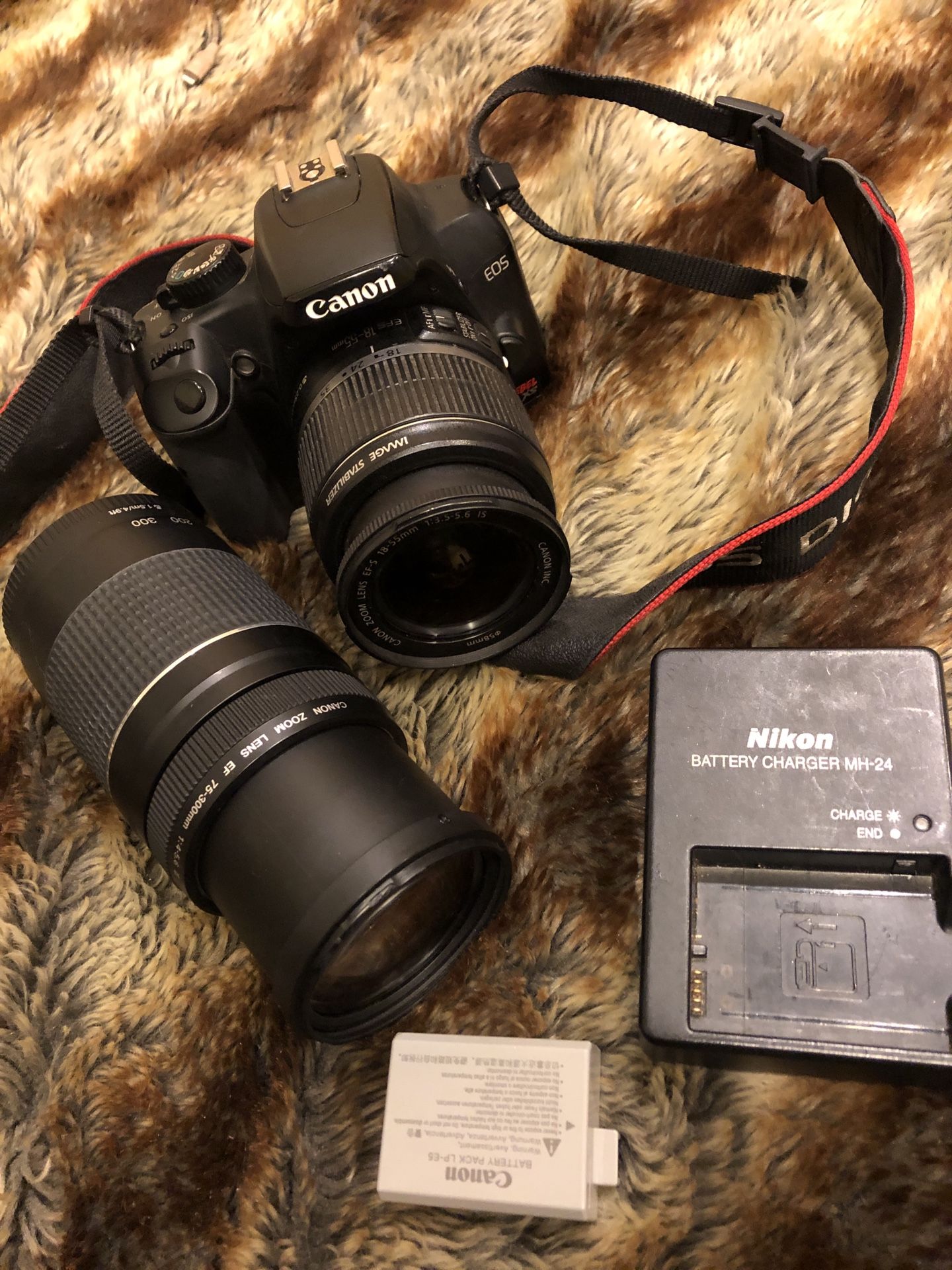 Canon EOS Rebel with multiple lenses
