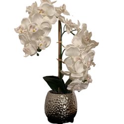 White Orchids Flower Arrangement With Silver Pot