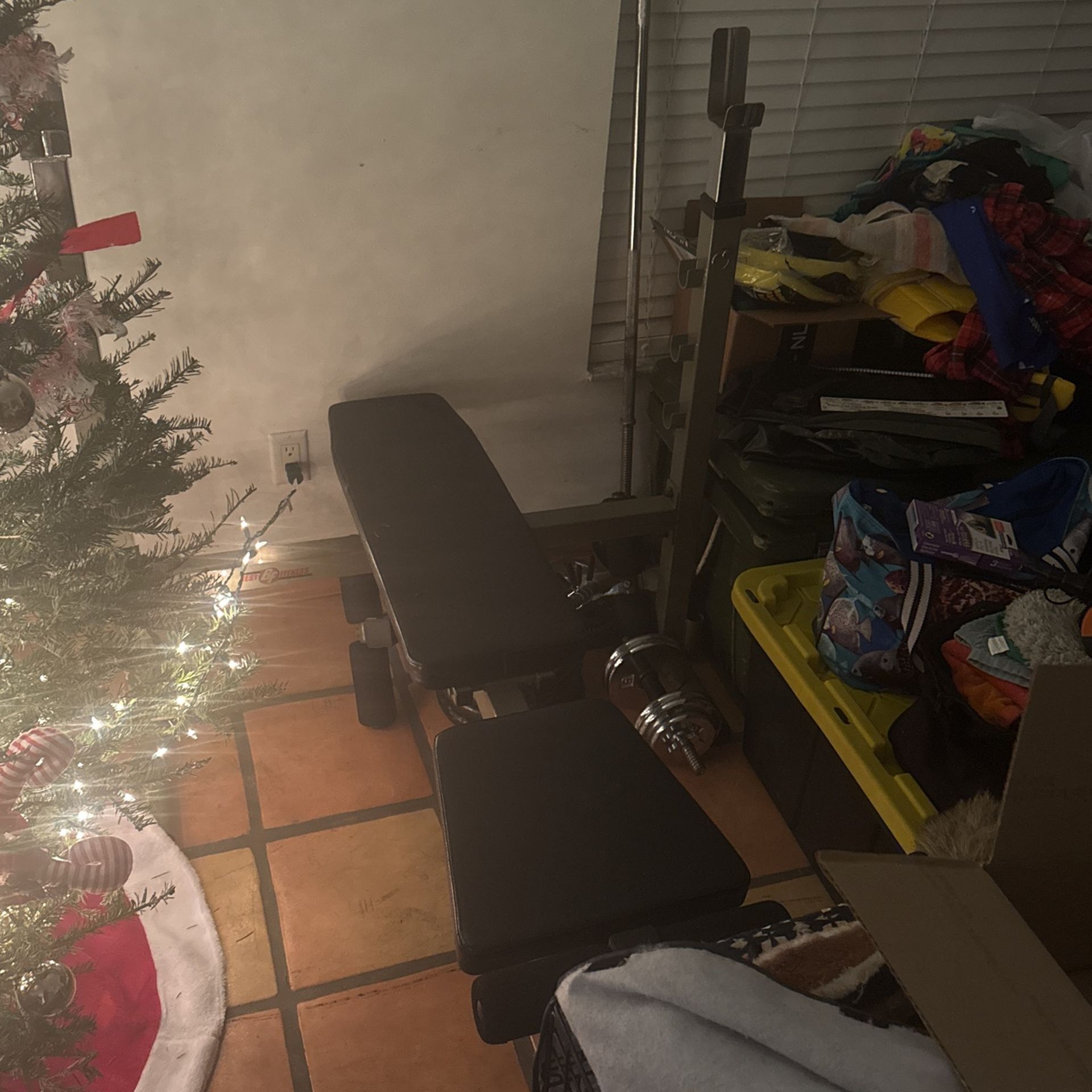 Weight Bench