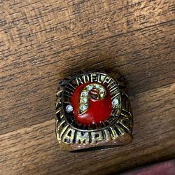 World Champion  Ring 