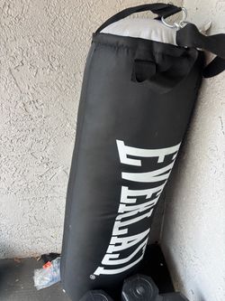 Everlast Punchingbag