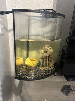 15 Gallon Fish Tank