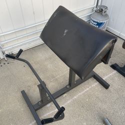 Preacher Curl Weight Beach.       100 Dollars 
